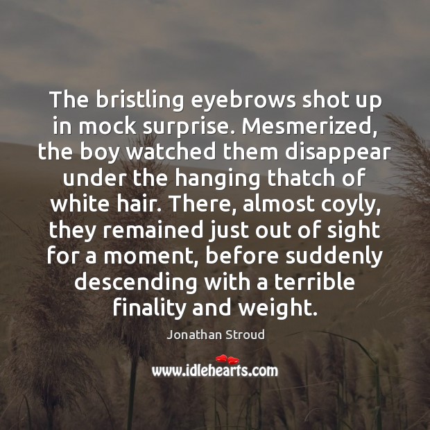 The bristling eyebrows shot up in mock surprise. Mesmerized, the boy watched Jonathan Stroud Picture Quote