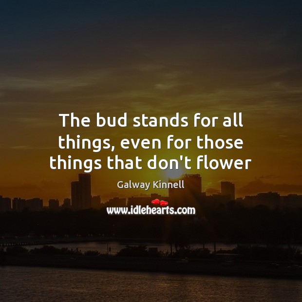 The bud stands for all things, even for those things that don’t flower Galway Kinnell Picture Quote