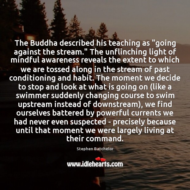 The Buddha described his teaching as “going against the stream.” The unflinching Stephen Batchelor Picture Quote