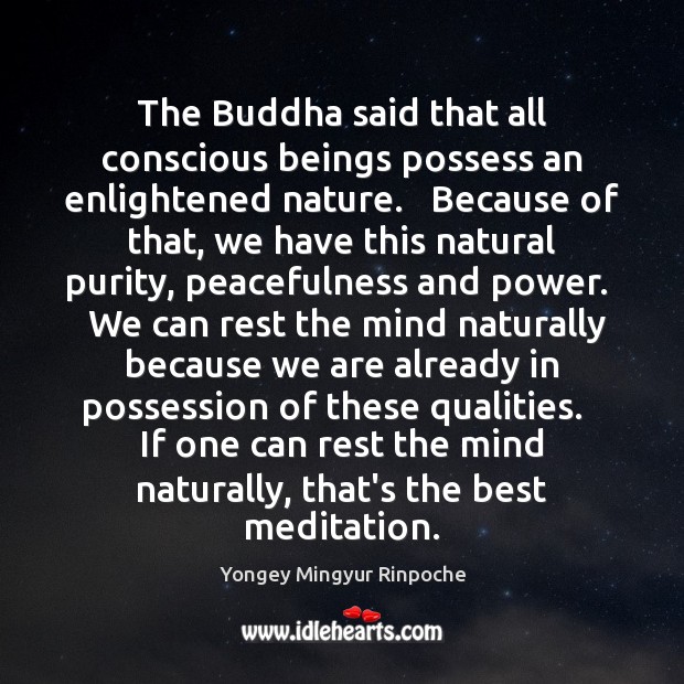 The Buddha said that all conscious beings possess an enlightened nature.   Because Yongey Mingyur Rinpoche Picture Quote