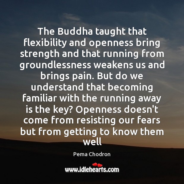 The Buddha taught that flexibility and openness bring strength and that running Pema Chodron Picture Quote