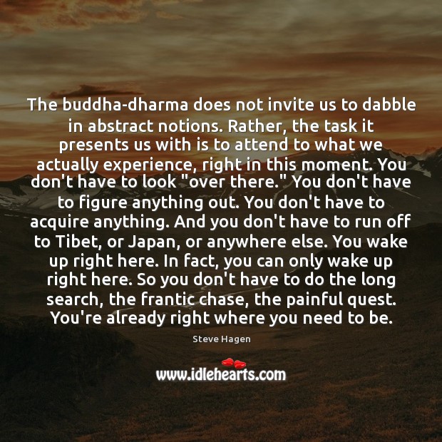 The buddha-dharma does not invite us to dabble in abstract notions. Rather, Steve Hagen Picture Quote