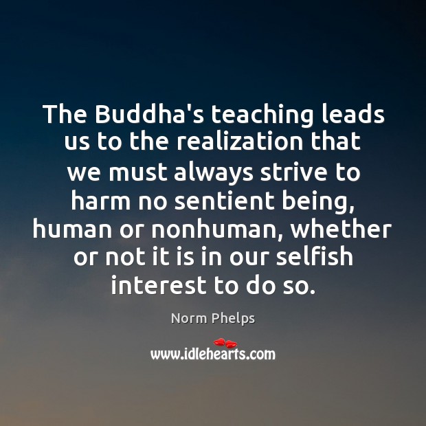 The Buddha’s teaching leads us to the realization that we must always Norm Phelps Picture Quote