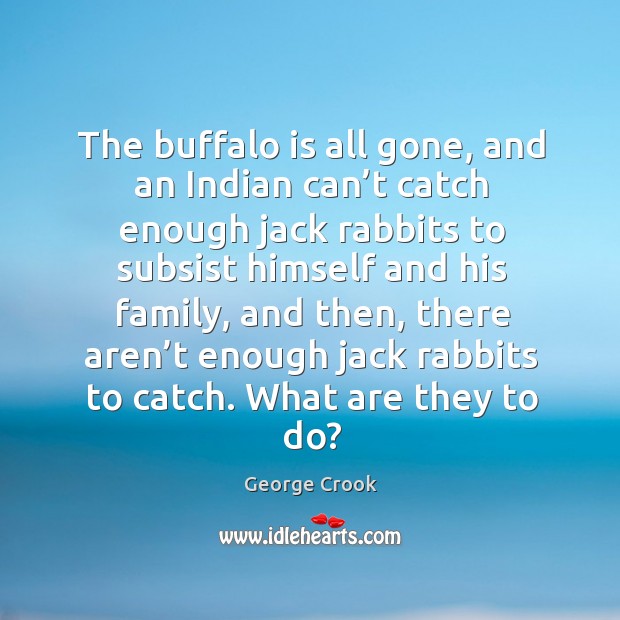 The buffalo is all gone, and an indian can’t catch enough jack rabbits to subsist himself and his family George Crook Picture Quote