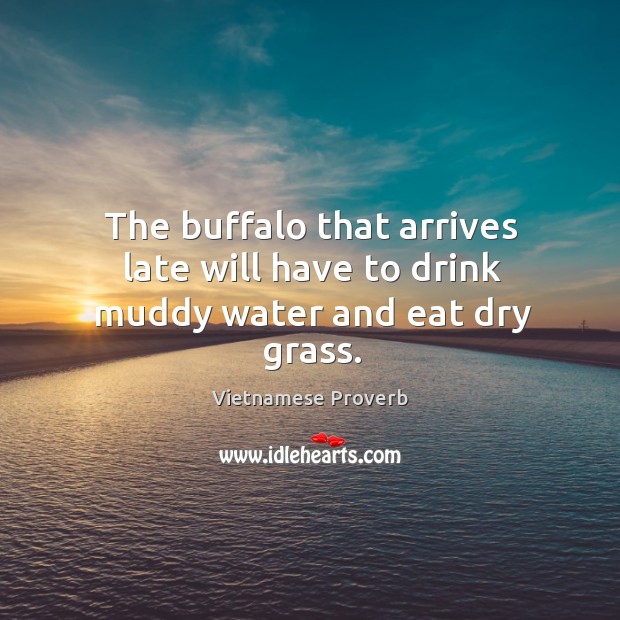 The buffalo that arrives late will have to drink muddy water and eat dry grass. Vietnamese Proverbs Image