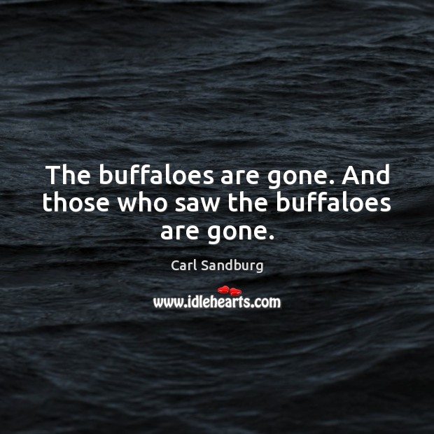 The buffaloes are gone. And those who saw the buffaloes are gone. Carl Sandburg Picture Quote