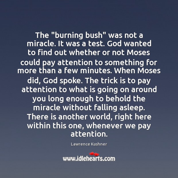 The “burning bush” was not a miracle. It was a test. God Image