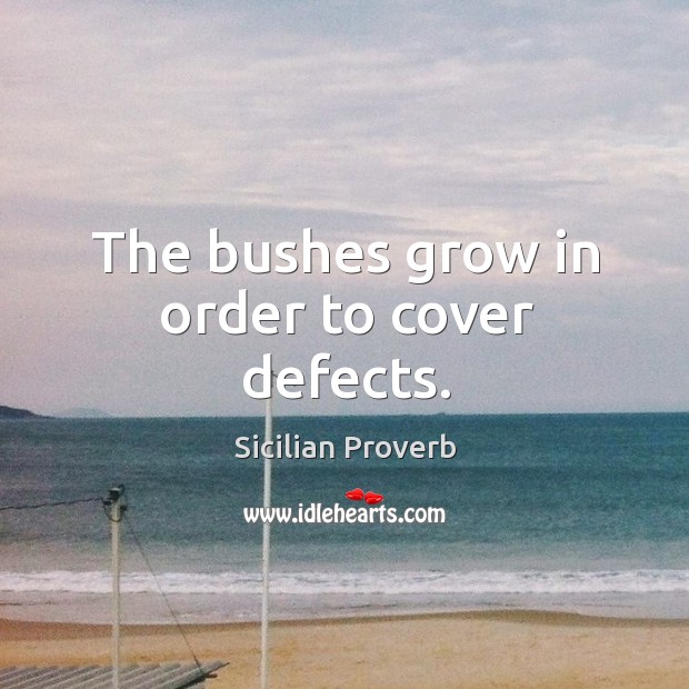 The bushes grow in order to cover defects. Sicilian Proverbs Image