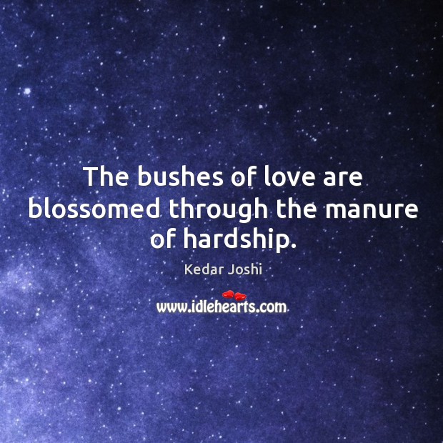 The bushes of love are blossomed through the manure of hardship. Kedar Joshi Picture Quote