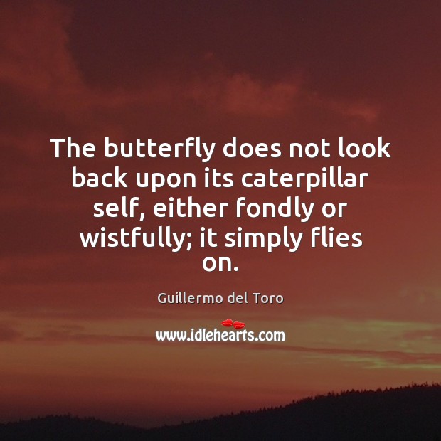 The butterfly does not look back upon its caterpillar self, either fondly Image