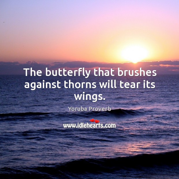 The butterfly that brushes against thorns will tear its wings. Yoruba Proverbs Image
