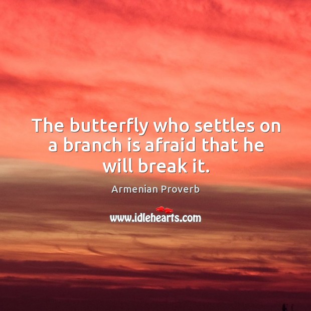 The butterfly who settles on a branch is afraid that he will break it. Armenian Proverbs Image