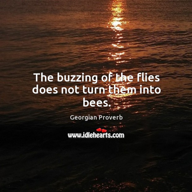 The buzzing of the flies does not turn them into bees. Georgian Proverbs Image