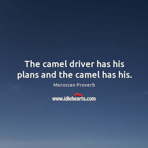 The camel driver has his plans and the camel has his. Moroccan Proverbs Image