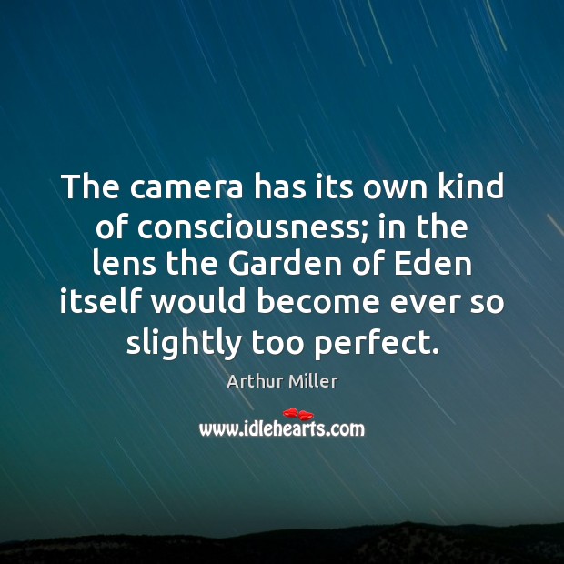 The camera has its own kind of consciousness; in the lens the Image