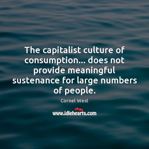 The capitalist culture of consumption… does not provide meaningful sustenance for large Cornel West Picture Quote