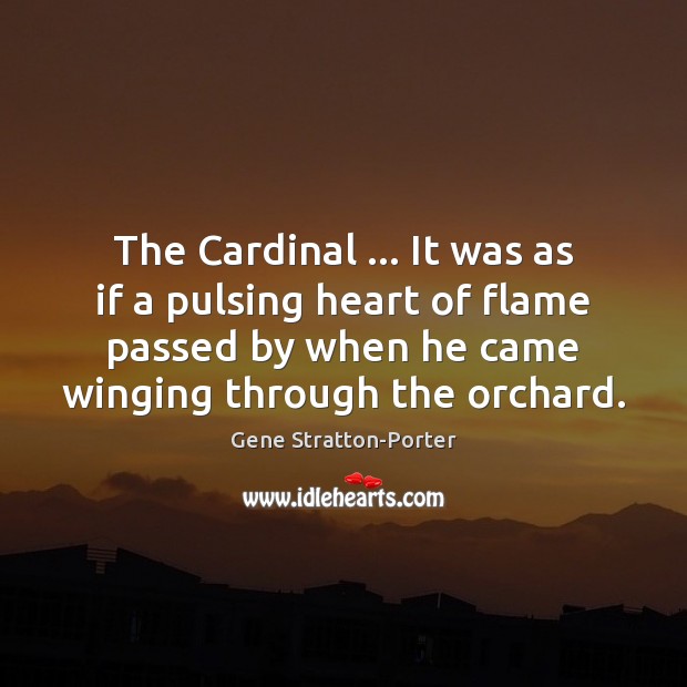 The Cardinal … It was as if a pulsing heart of flame passed Gene Stratton-Porter Picture Quote