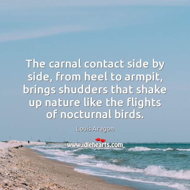 The carnal contact side by side, from heel to armpit, brings shudders 