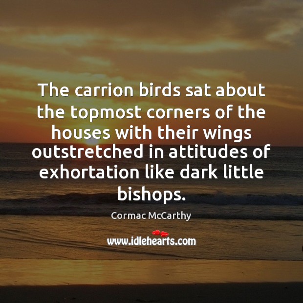 The carrion birds sat about the topmost corners of the houses with Cormac McCarthy Picture Quote