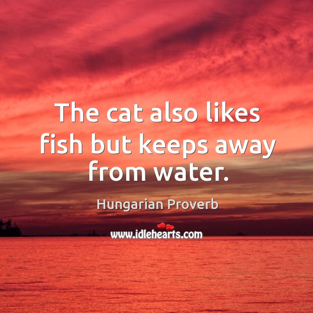 The cat also likes fish but keeps away from water. Hungarian Proverbs Image