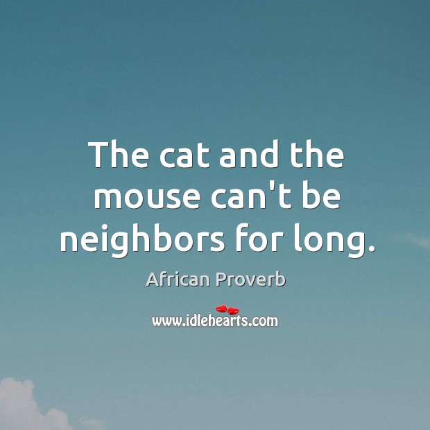 The cat and the mouse can’t be neighbors for long. Image
