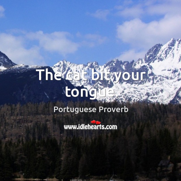 The cat bit your tongue. Portuguese Proverbs Image