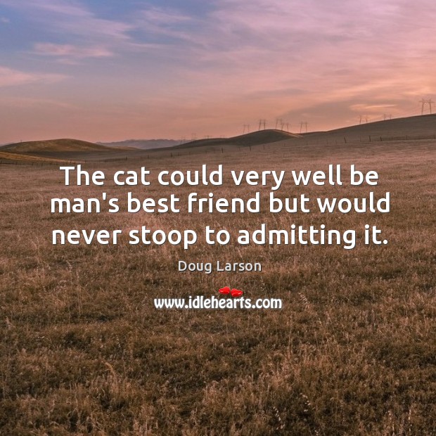 The cat could very well be man’s best friend but would never stoop to admitting it. 