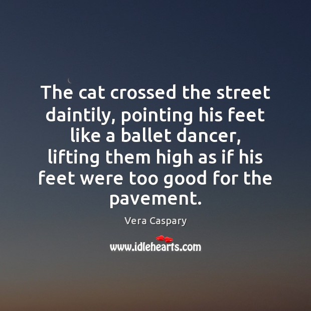 The cat crossed the street daintily, pointing his feet like a ballet Vera Caspary Picture Quote