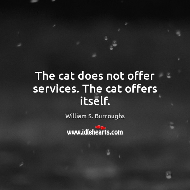 The cat does not offer services. The cat offers itself. William S. Burroughs Picture Quote