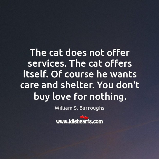 The cat does not offer services. The cat offers itself. Of course William S. Burroughs Picture Quote