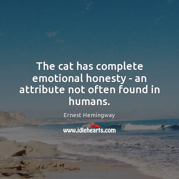 The cat has complete emotional honesty – an attribute not often found in humans. Image
