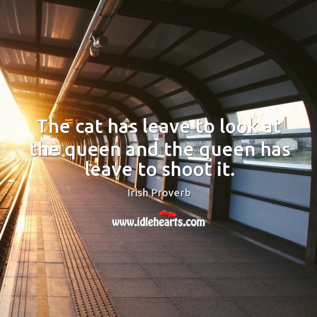 The cat has leave to look at the queen and the queen has leave to shoot it. Irish Proverbs Image