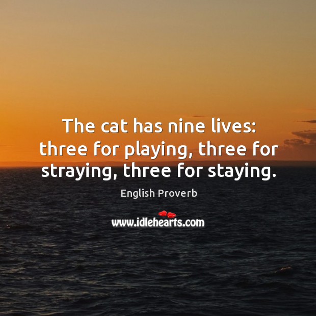 The cat has nine lives: three for playing, three for straying, three for staying. English Proverbs Image