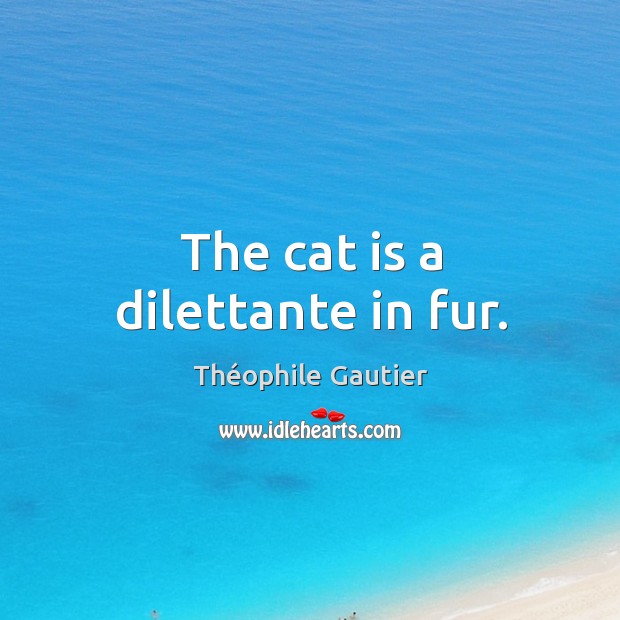 The cat is a dilettante in fur. Image