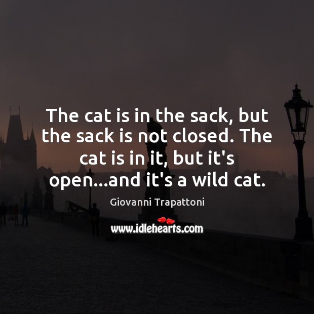 The cat is in the sack, but the sack is not closed. Giovanni Trapattoni Picture Quote