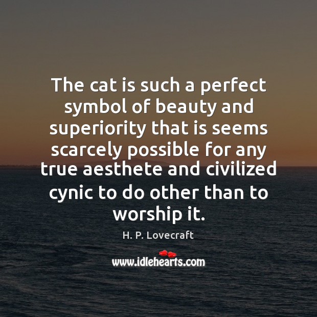 The cat is such a perfect symbol of beauty and superiority that H. P. Lovecraft Picture Quote