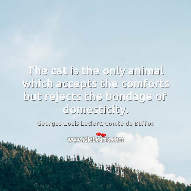 The cat is the only animal which accepts the comforts but rejects Georges-Louis Leclerc, Comte de Buffon Picture Quote