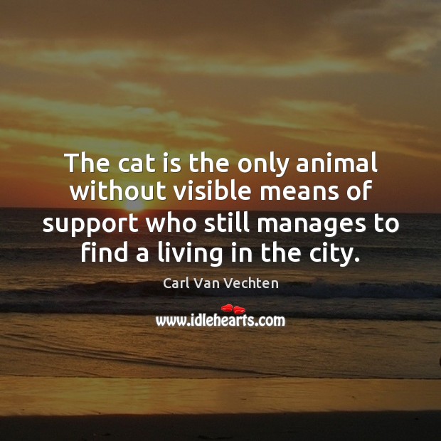 The cat is the only animal without visible means of support who Image