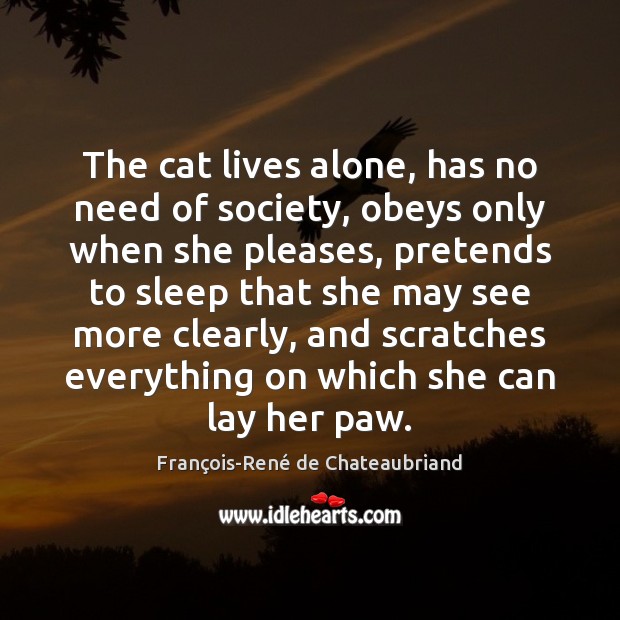 The cat lives alone, has no need of society, obeys only when François-René de Chateaubriand Picture Quote