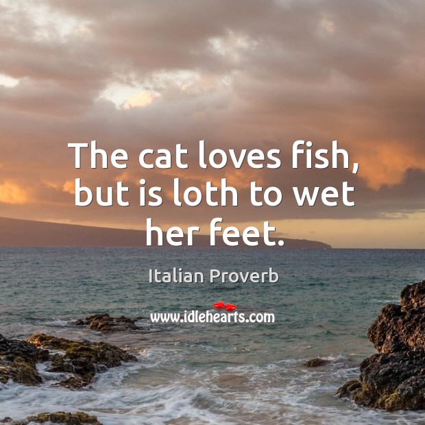 The cat loves fish, but is loth to wet her feet. Image