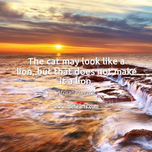 The cat may look like a lion, but that does not make it a lion. Image