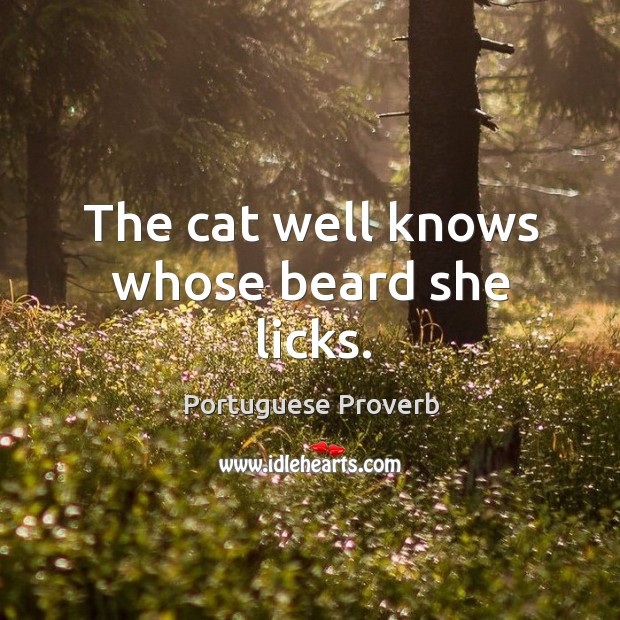 The cat well knows whose beard she licks. 