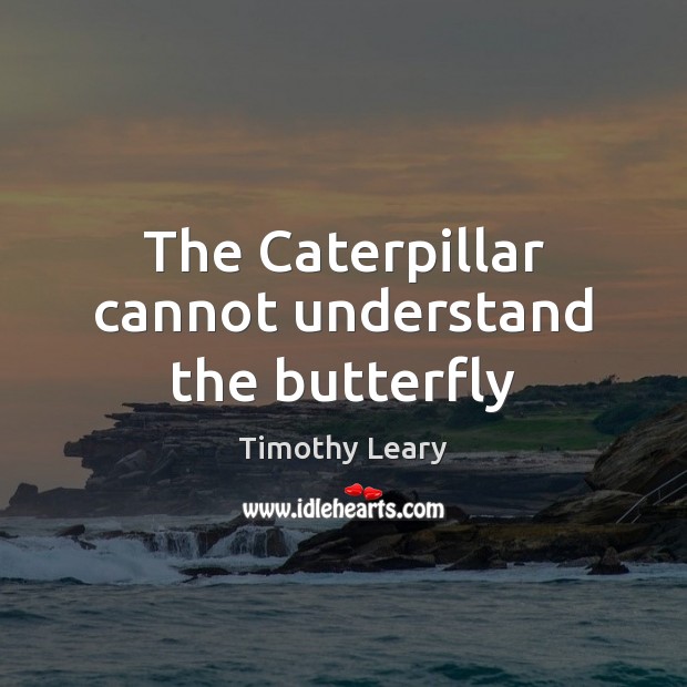 The Caterpillar cannot understand the butterfly Timothy Leary Picture Quote