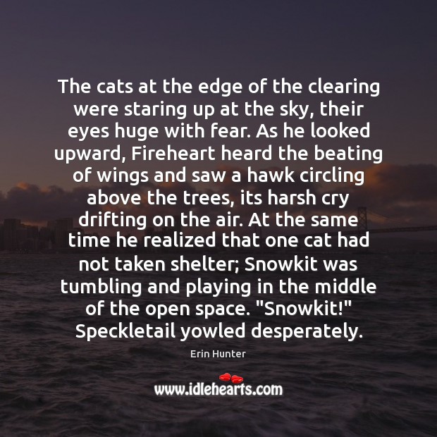 The cats at the edge of the clearing were staring up at Erin Hunter Picture Quote