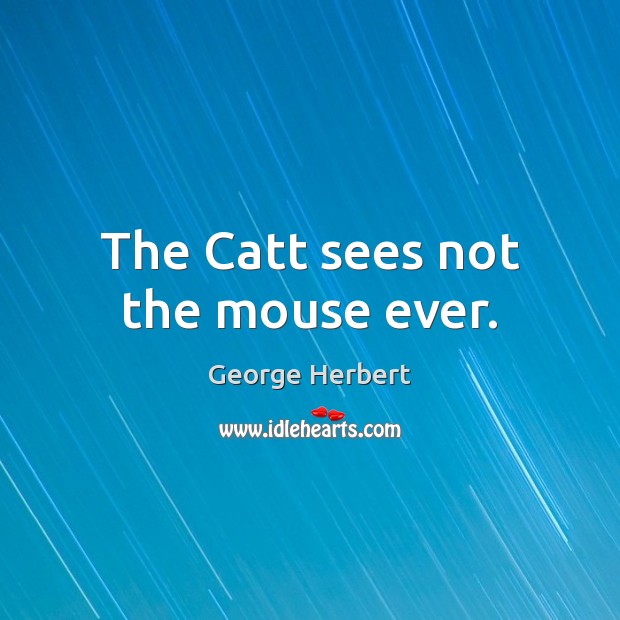 The Catt sees not the mouse ever. Image