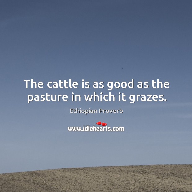 The cattle is as good as the pasture in which it grazes. Image