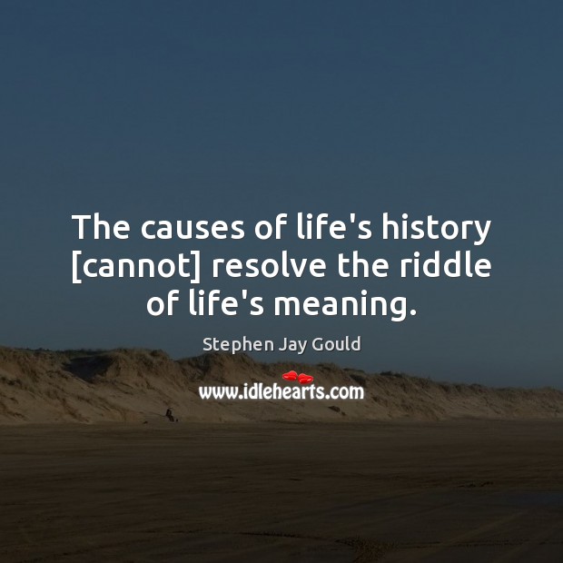 The causes of life’s history [cannot] resolve the riddle of life’s meaning. Image