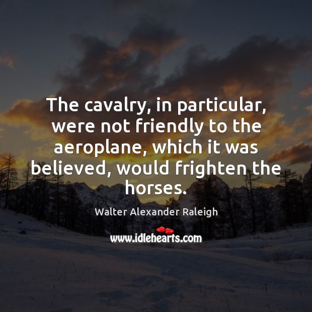 The cavalry, in particular, were not friendly to the aeroplane, which it Walter Alexander Raleigh Picture Quote