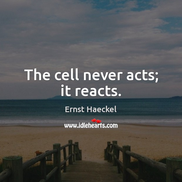 The cell never acts; it reacts. Ernst Haeckel Picture Quote