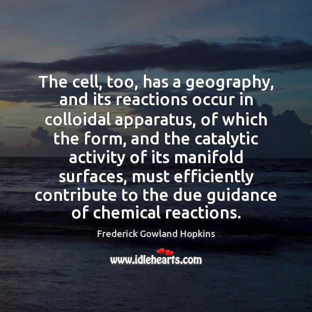 The cell, too, has a geography, and its reactions occur in colloidal Frederick Gowland Hopkins Picture Quote